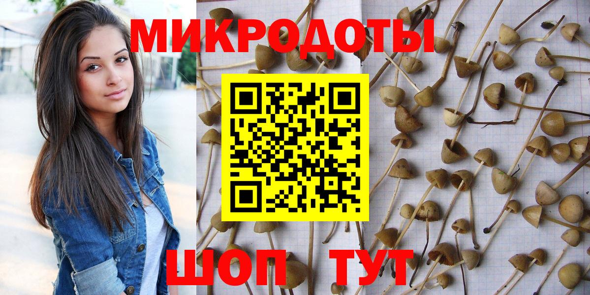 Псилоцибиновые грибы MAGIC MUSHROOMS  Псилоцибиновые грибы Cubensis  Краснокаменск  Вход с VPN 