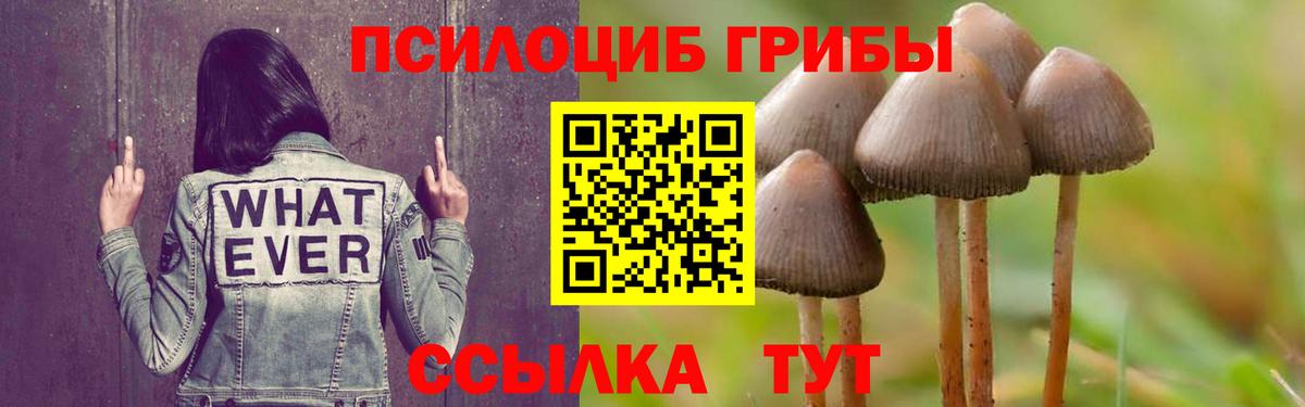 Галлюциногенные грибы мицелий Краснокаменск